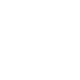 دليل purple road